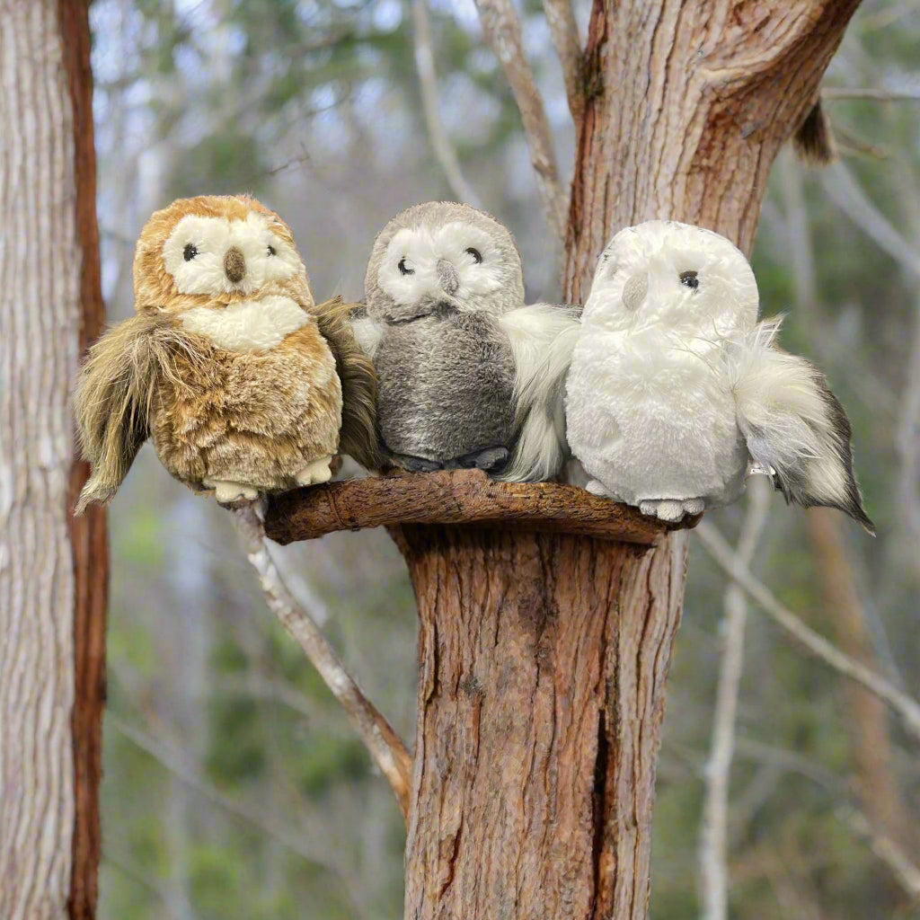 Three stuffed owl toys in different colors sitting on a dark surface with a wooden background.