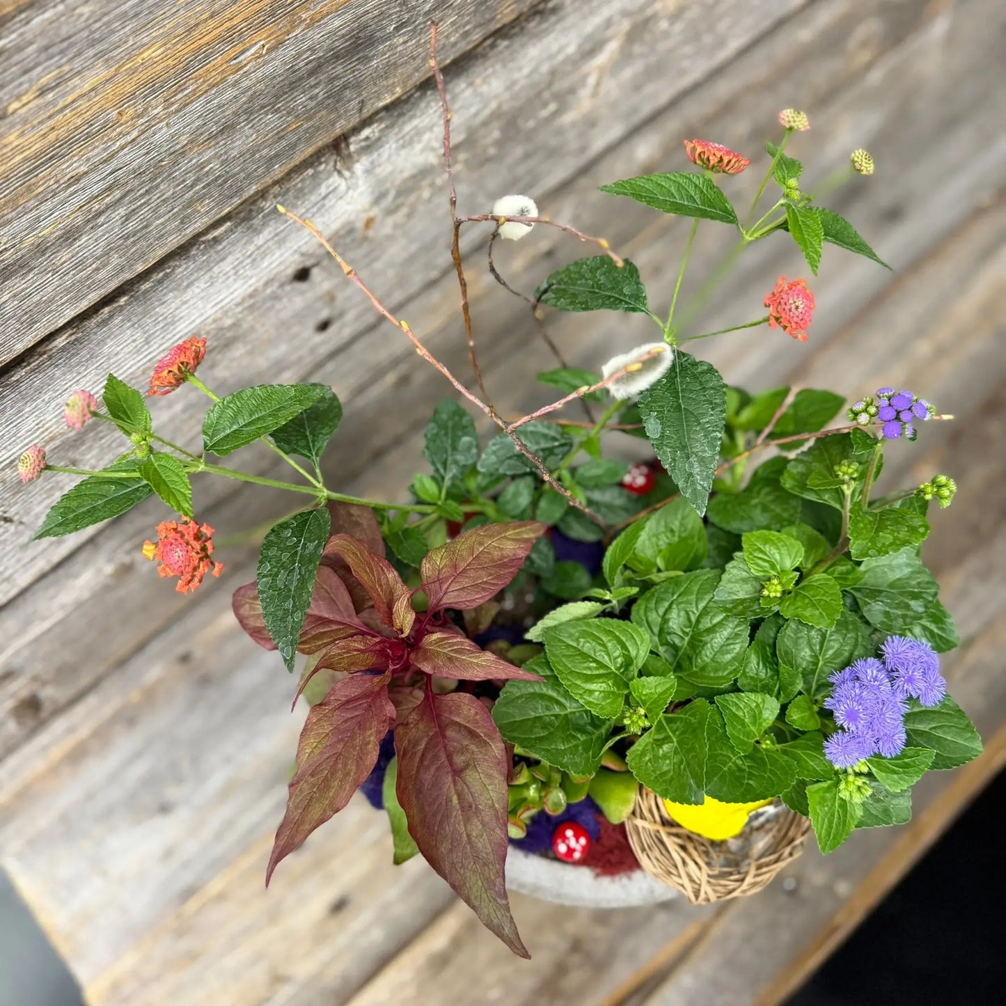 Magic Woodland Planter The BloomBox