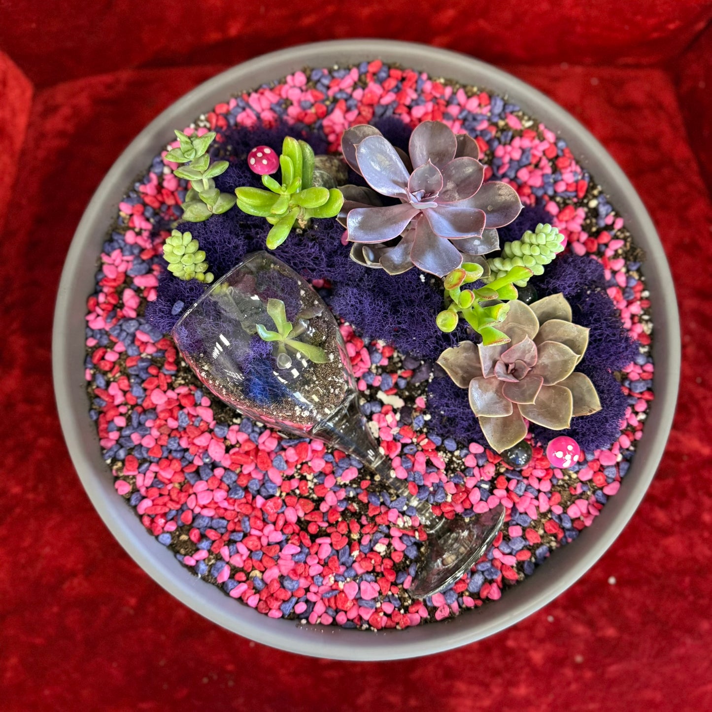 Glass Garden