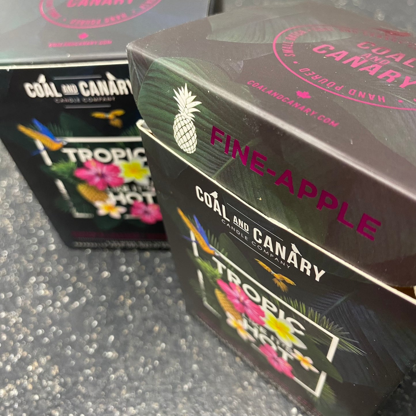 Tropic Like It's Hot By Coal & Canary