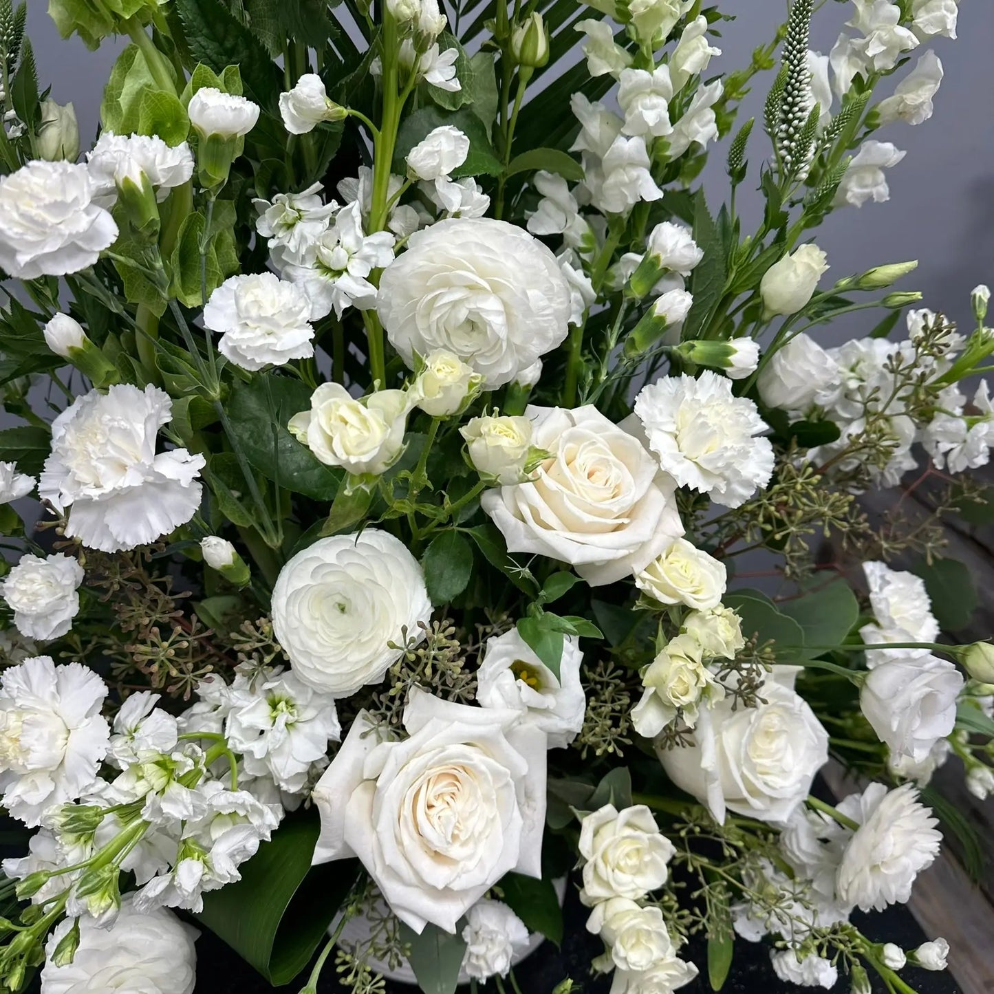 The Shirley The BloomBox
