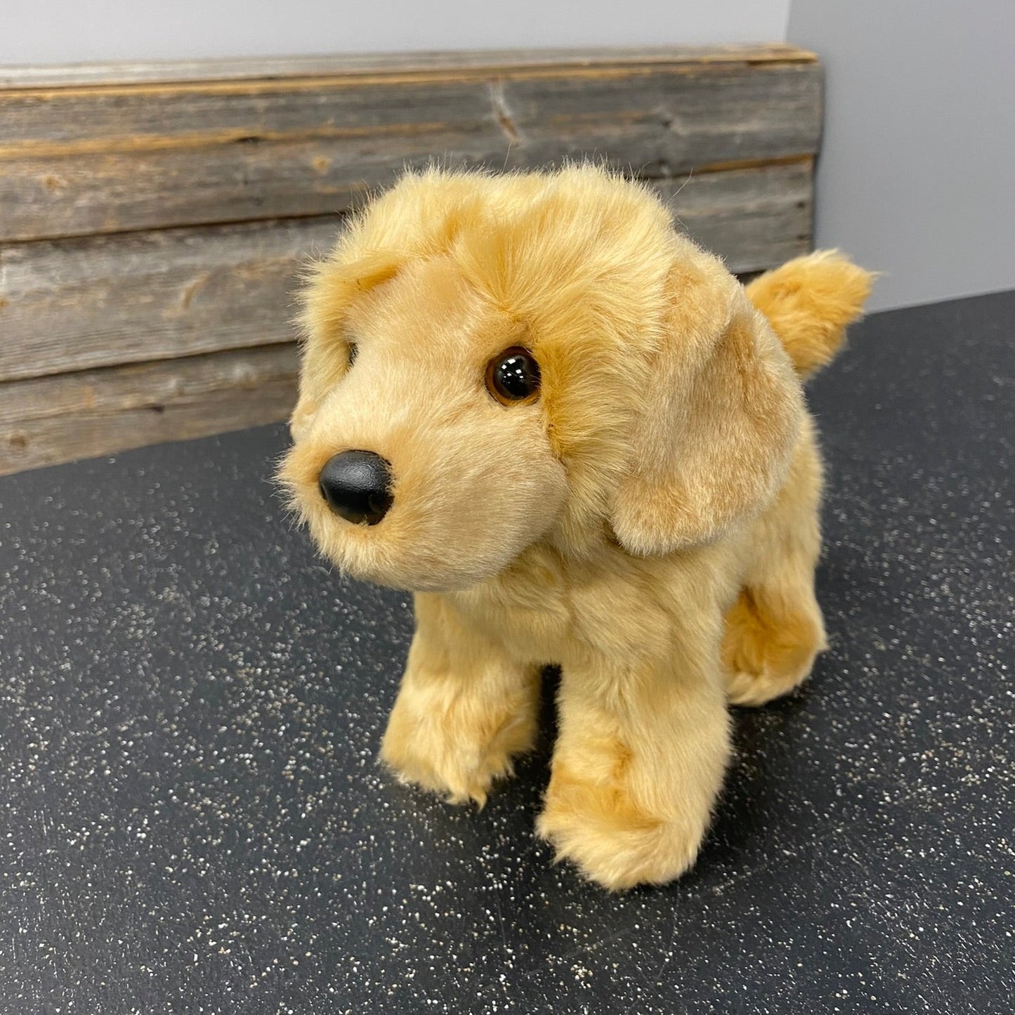 Chap Golden Retriever