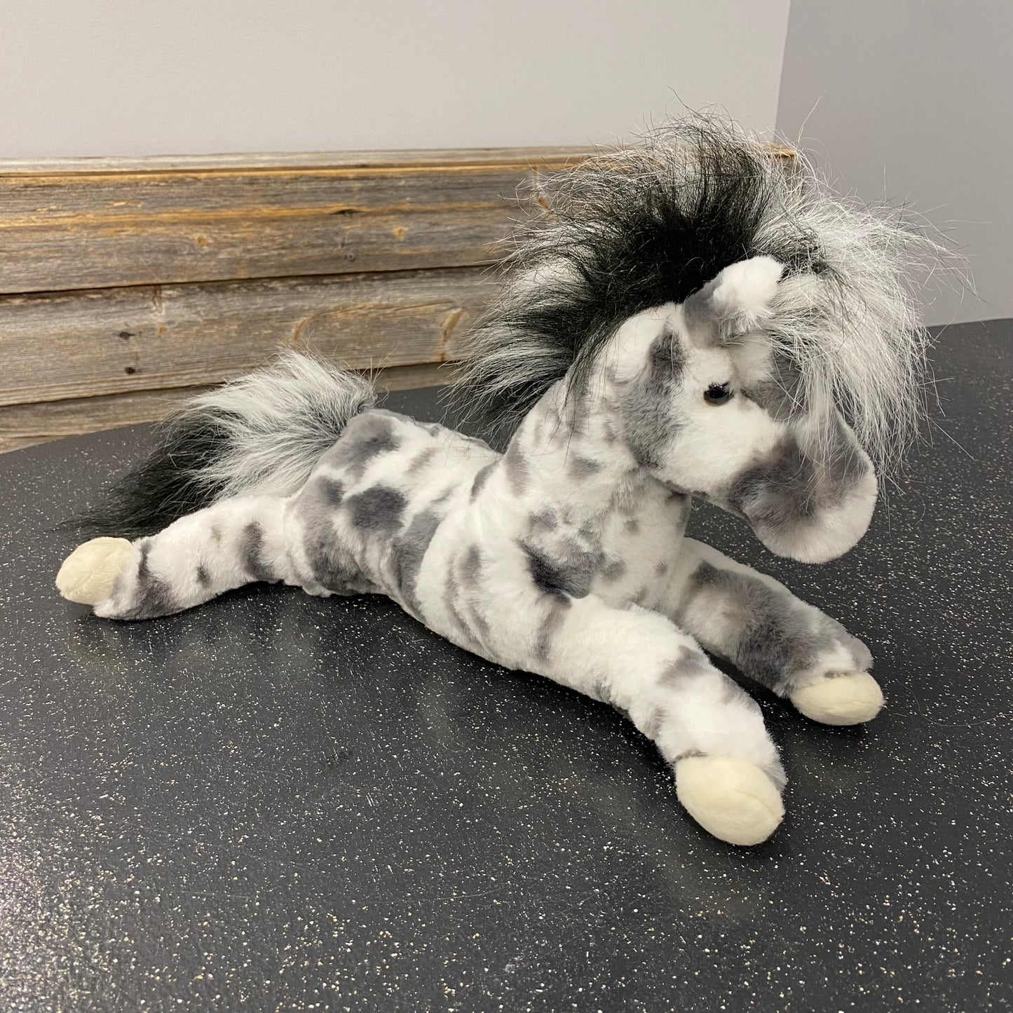 Starsky Appaloosa Horse