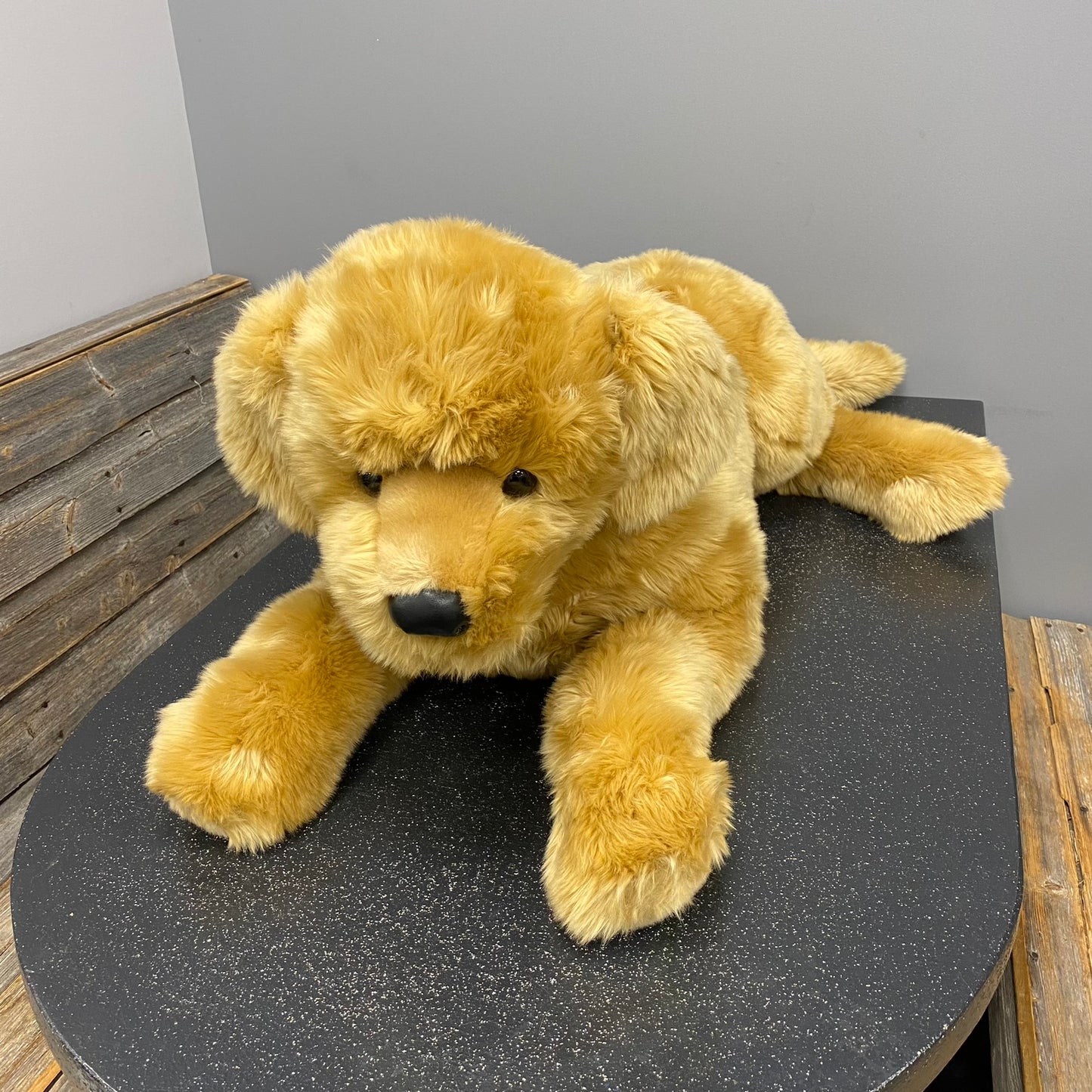 Sherman Golden Retriever