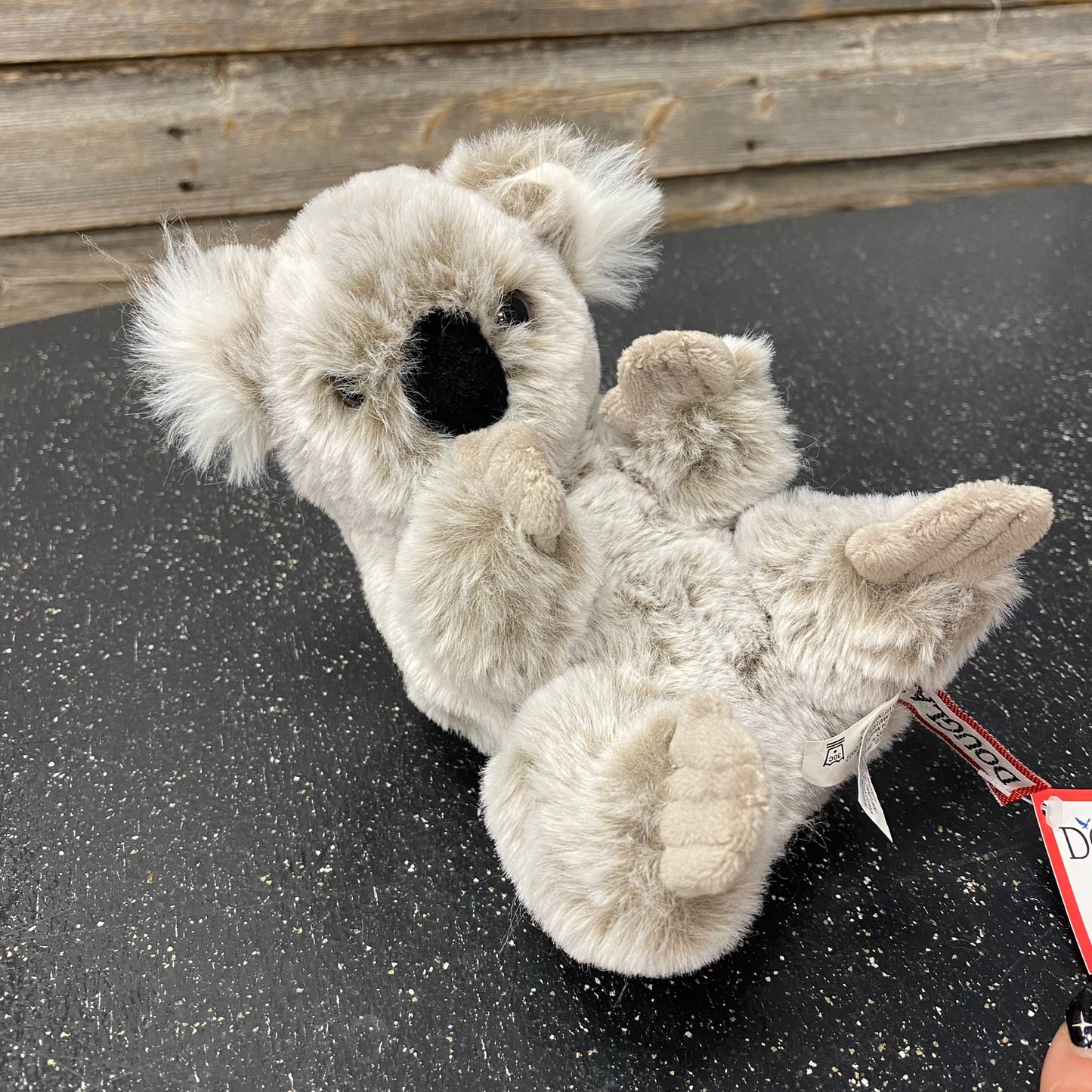 Lil' Baby Koala
