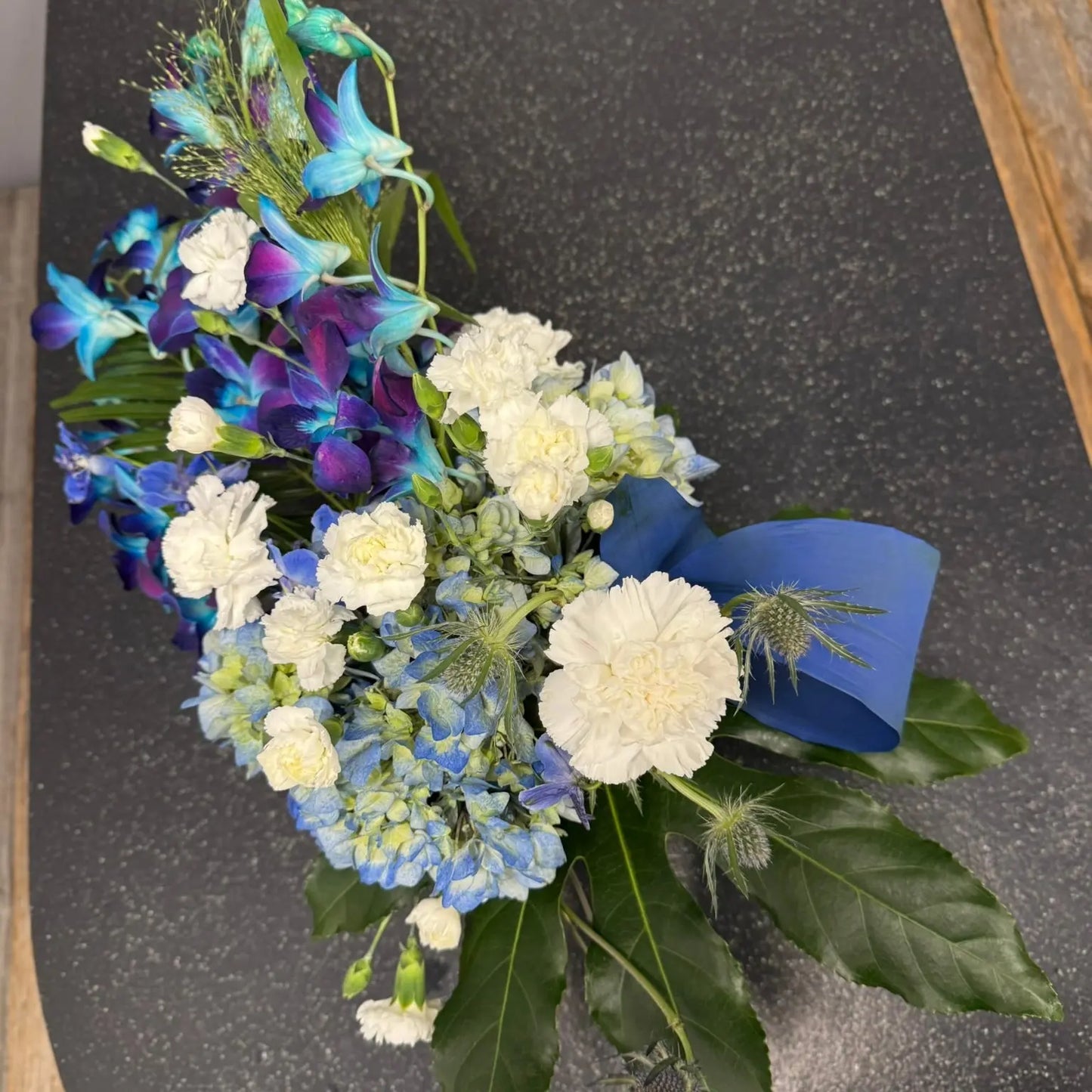 Blue Jay The BloomBox
