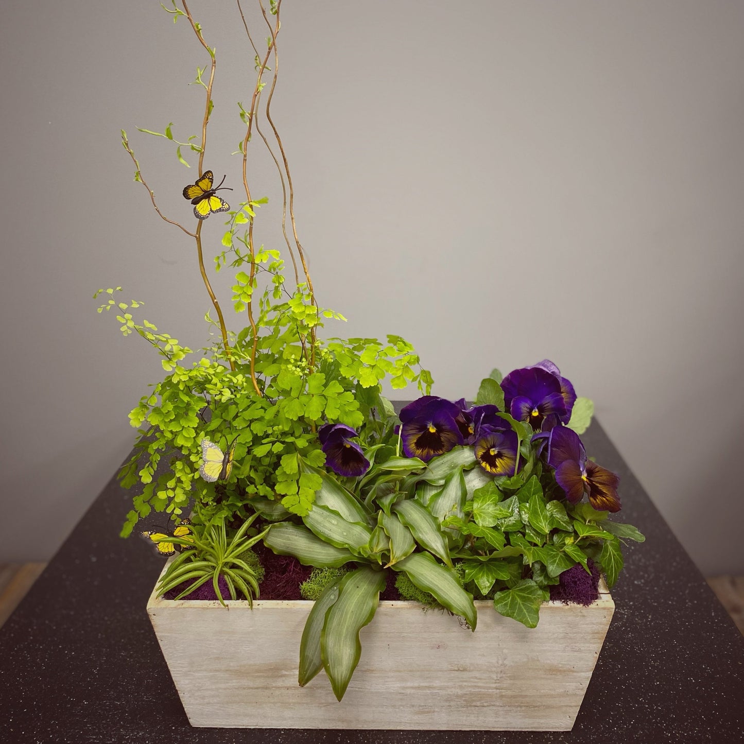 Perfect Pansy Planter