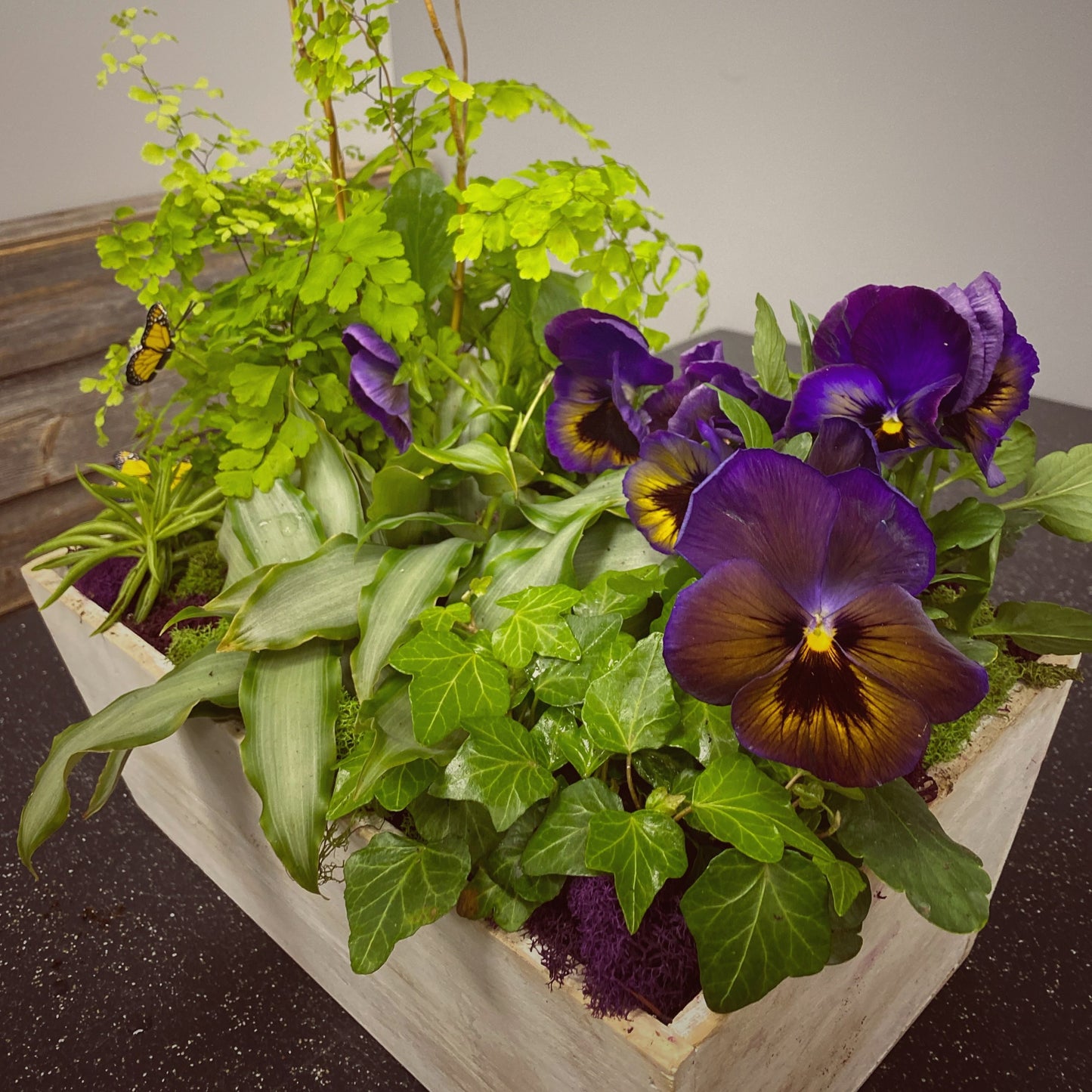 Perfect Pansy Planter