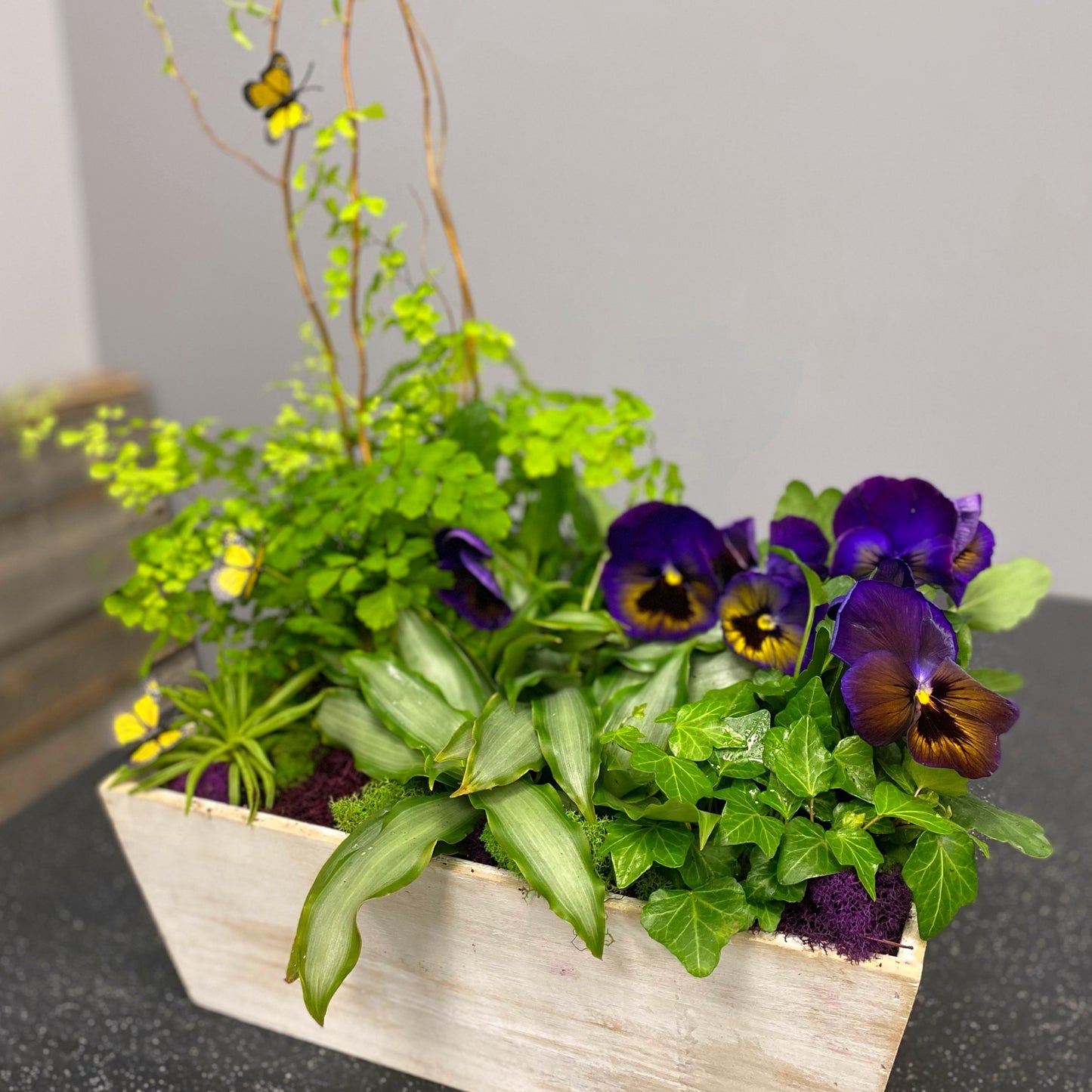 Perfect Pansy Planter