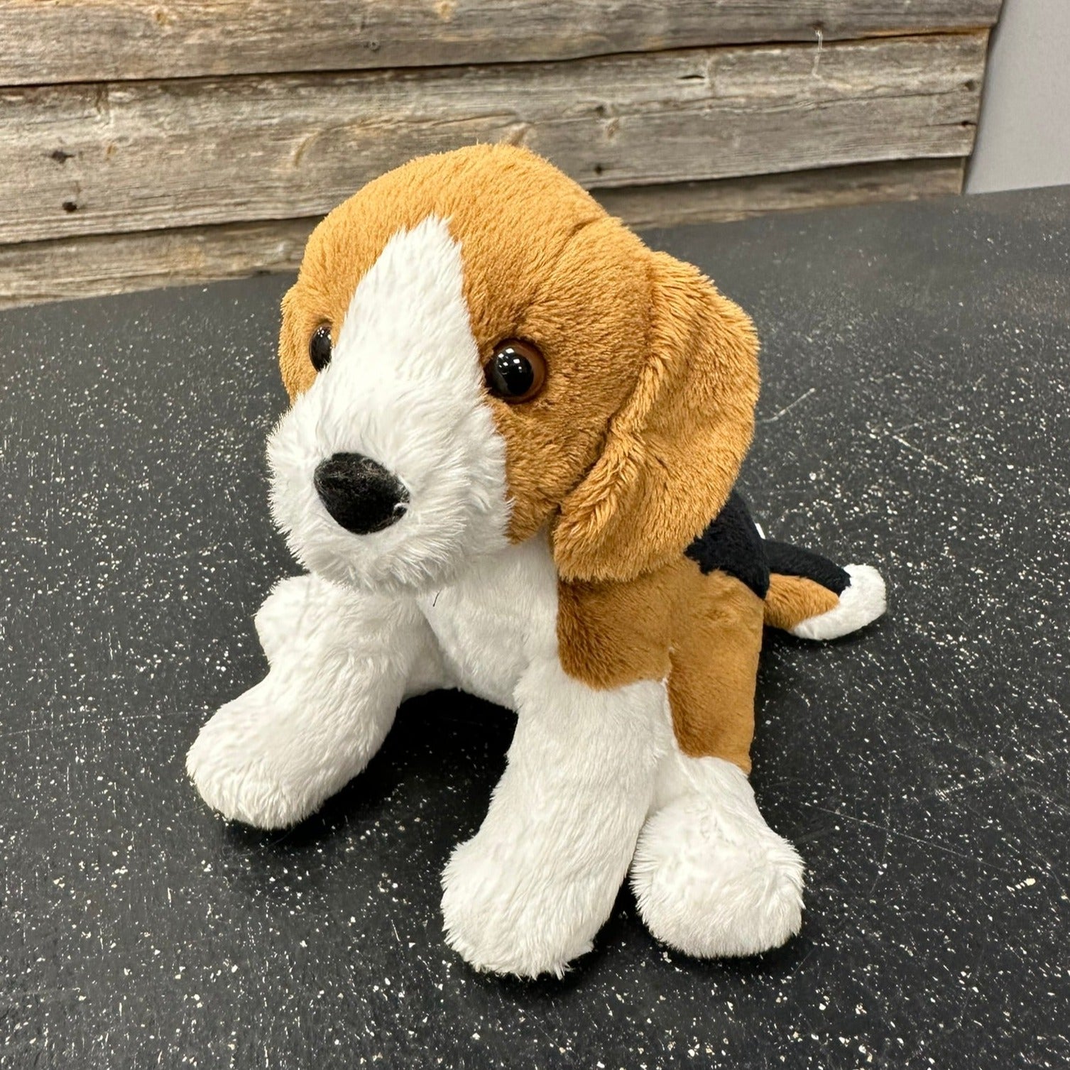 Sniff Beagle – The BloomBox - Main Image