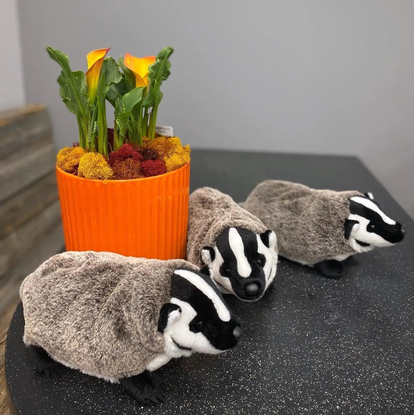 Barry Badger Douglas Cuddle Toys