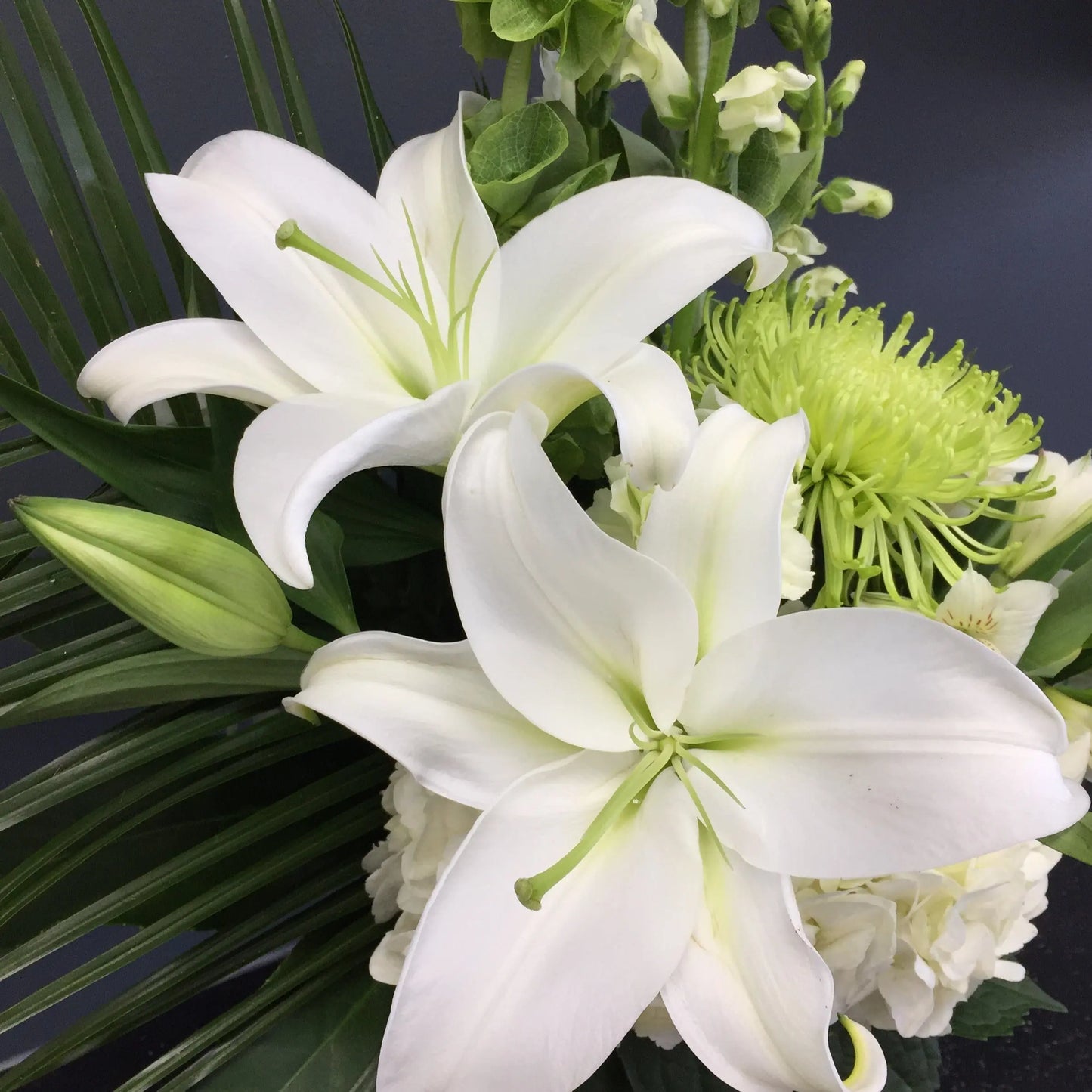 Belle Of Ireland The BloomBox