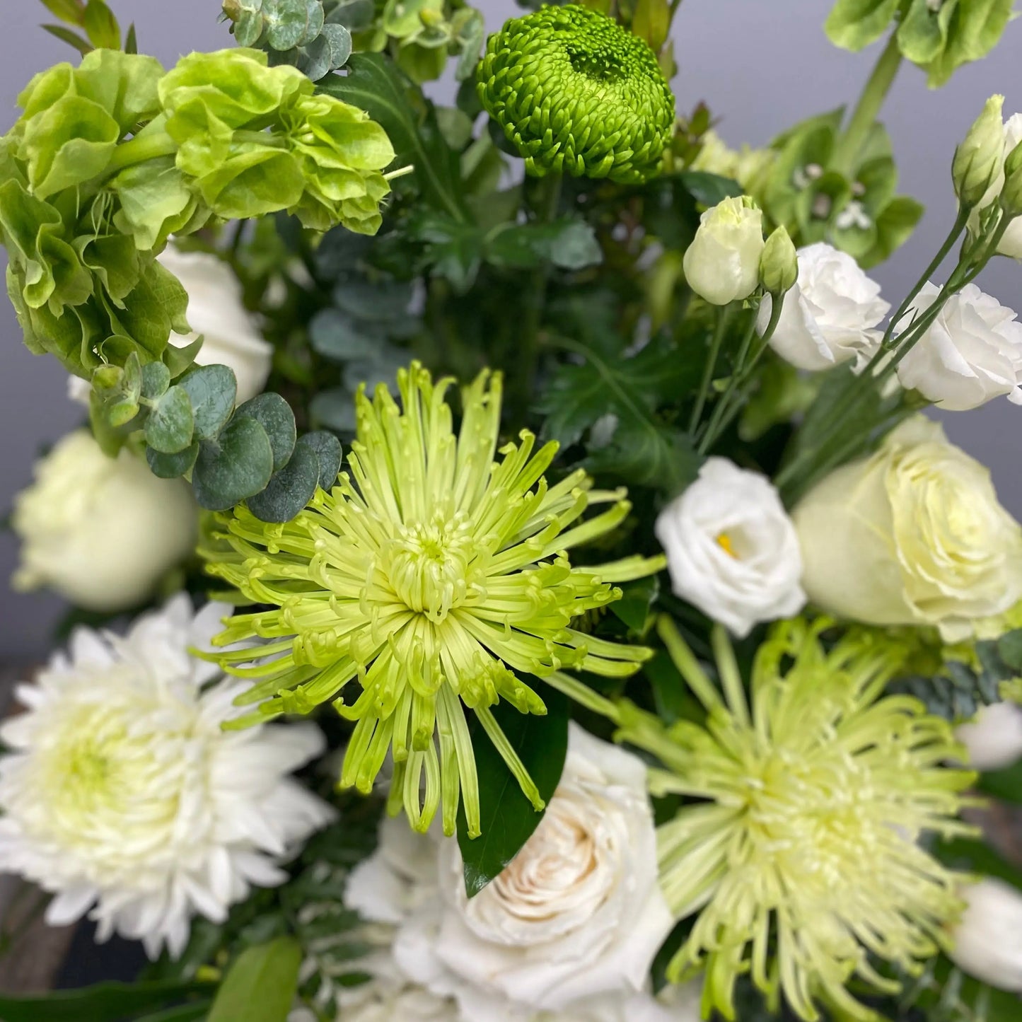 Lasting Comfort The BloomBox