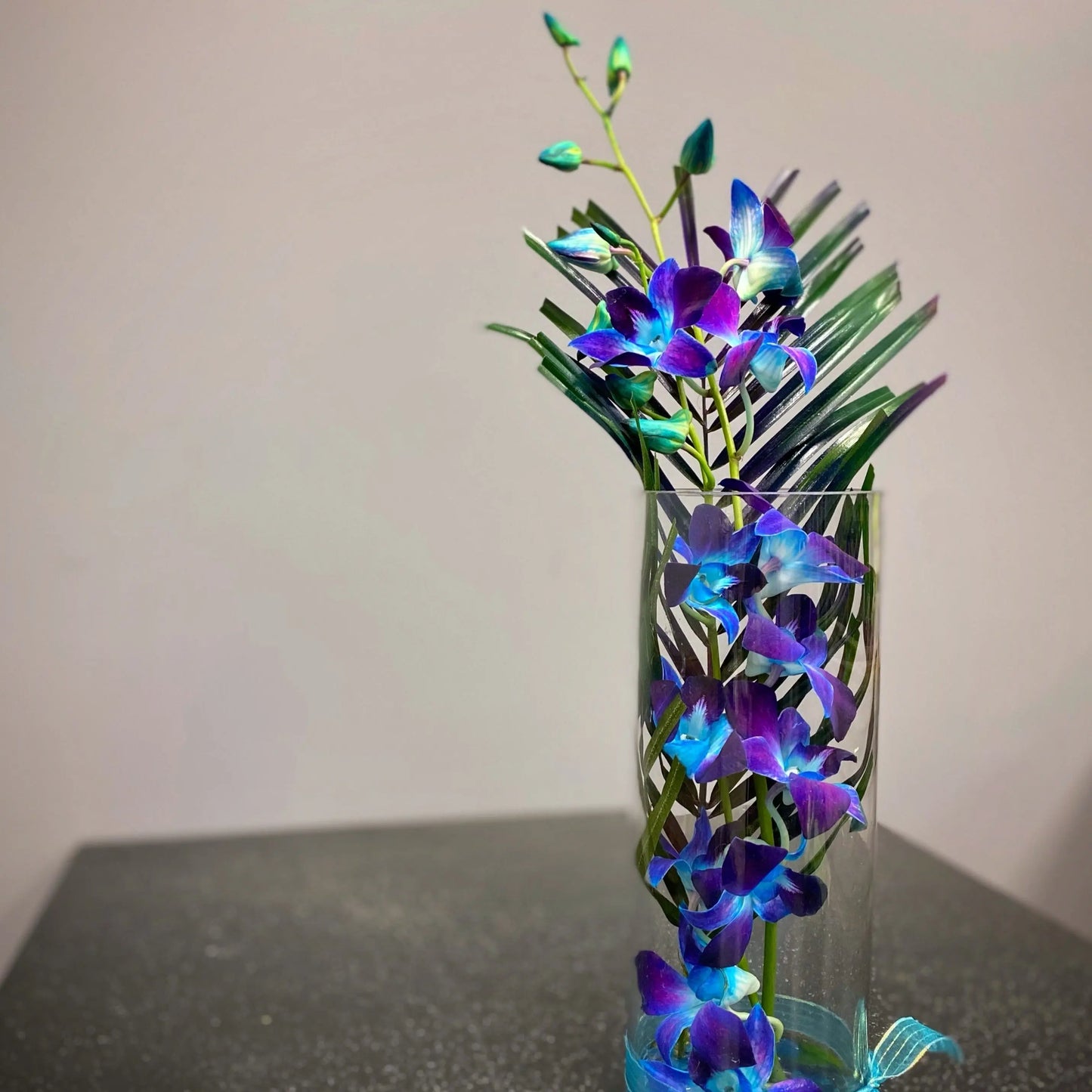 Blue Orchid Hurricane The BloomBox