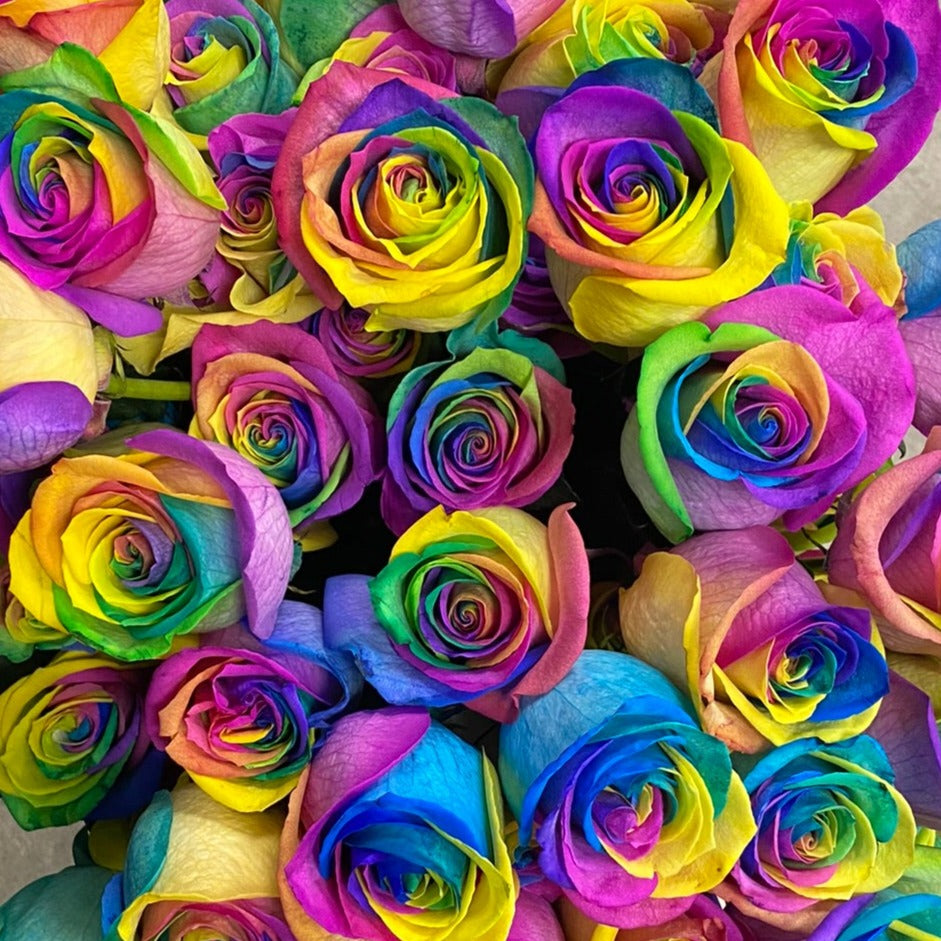 Classic Roses Vased