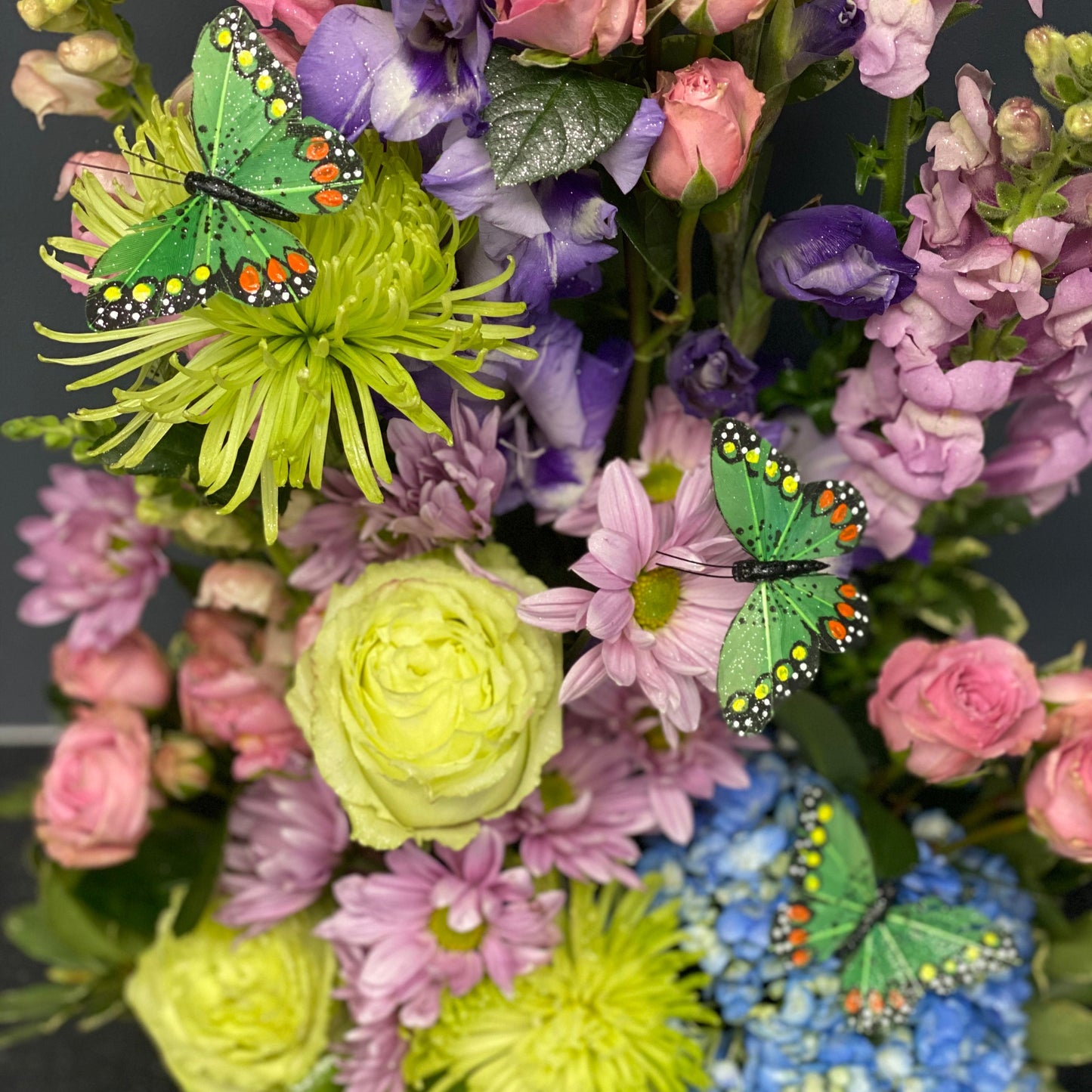 Spring Blooms