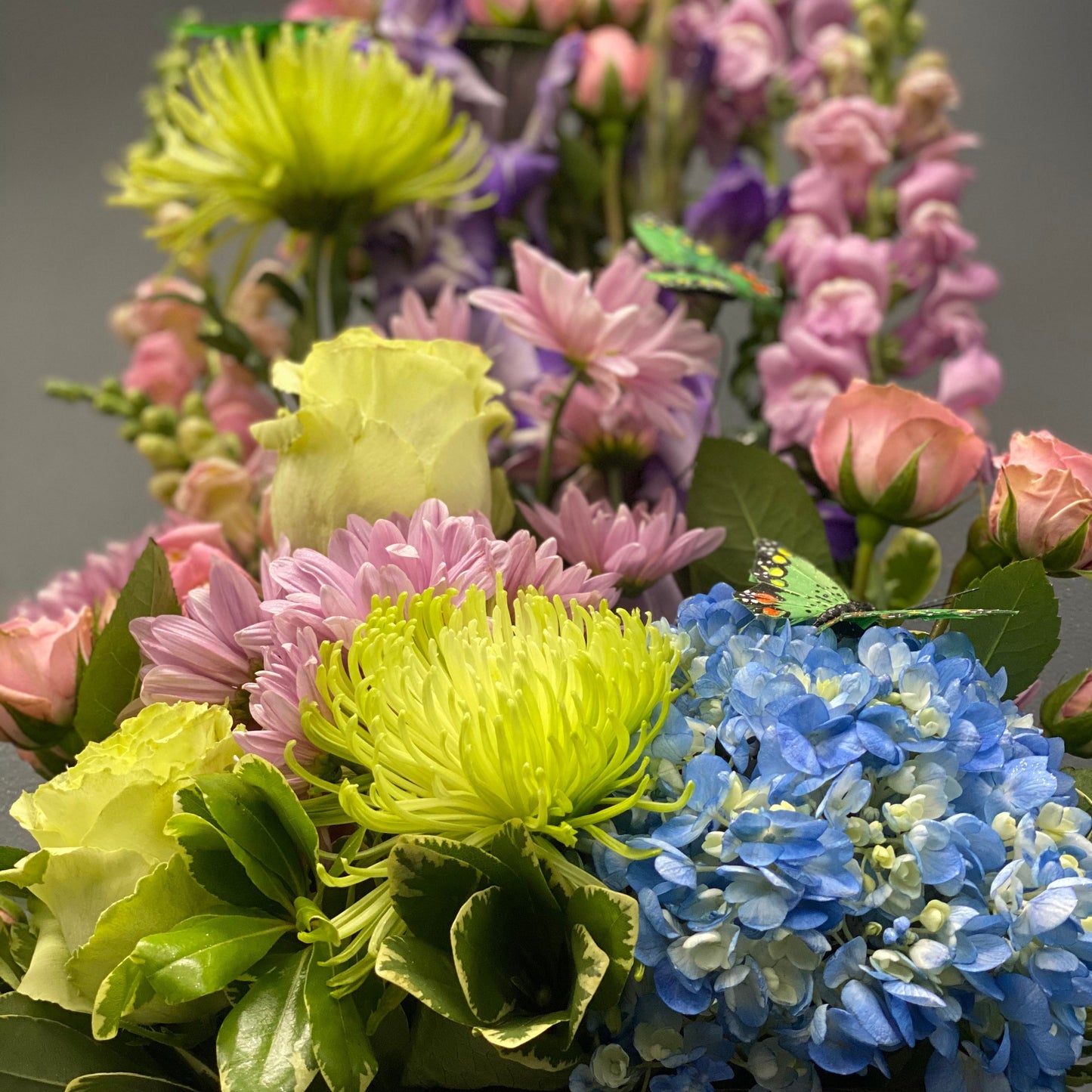 Spring Blooms