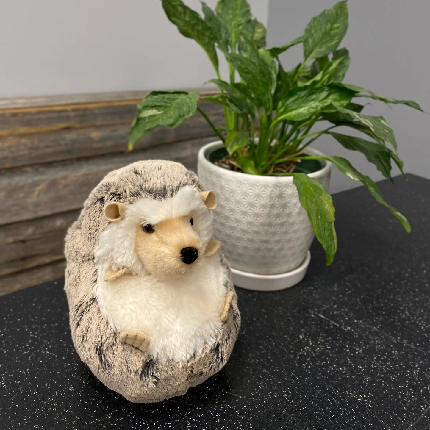 Spunky Hedgehog LG Douglas Cuddle Toys