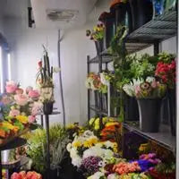 What Happens to Your Flowers Before We Ever Design With Them?