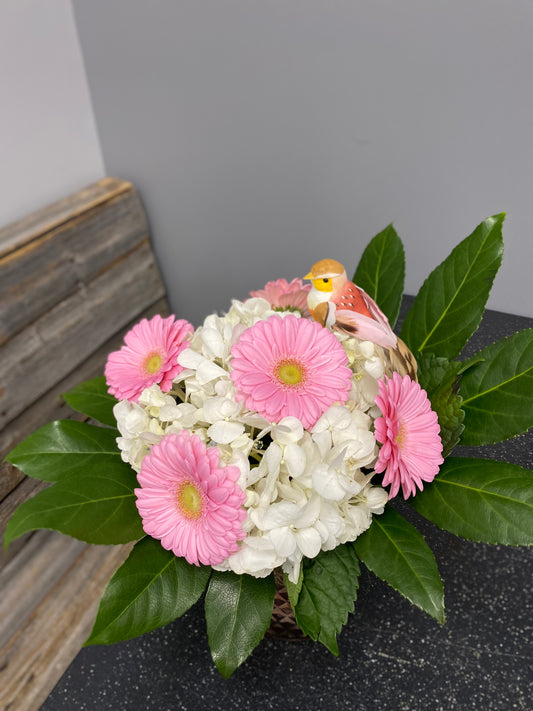 Unsung Heroes: Why Administrative Professionals Deserve Recognition and Flowers on Their Day