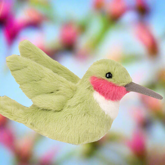 Nectar Hummingbird