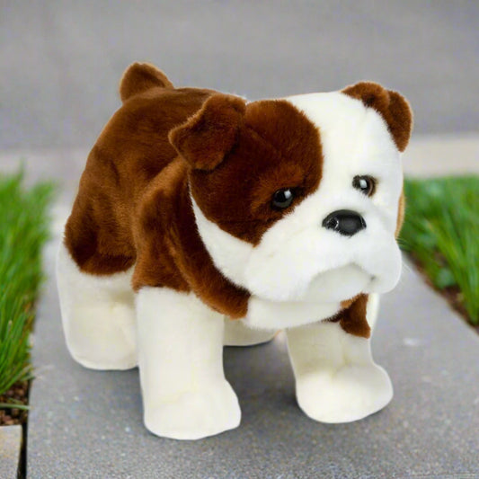 Hardy Bulldog