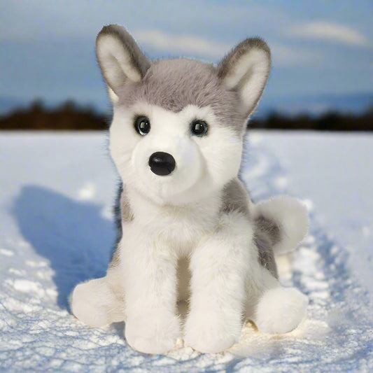 Plush toy husky dog on a white background