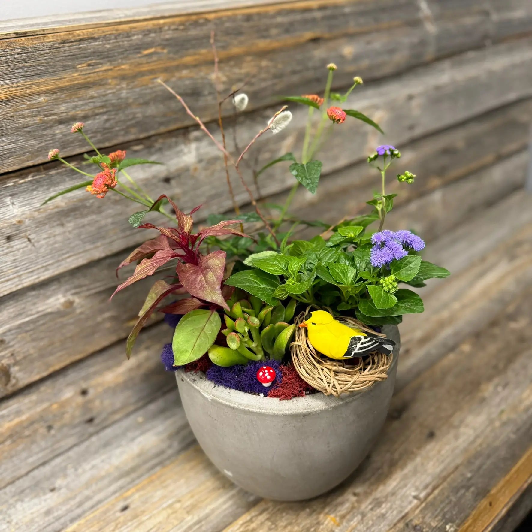 Magic Woodland Planter The BloomBox