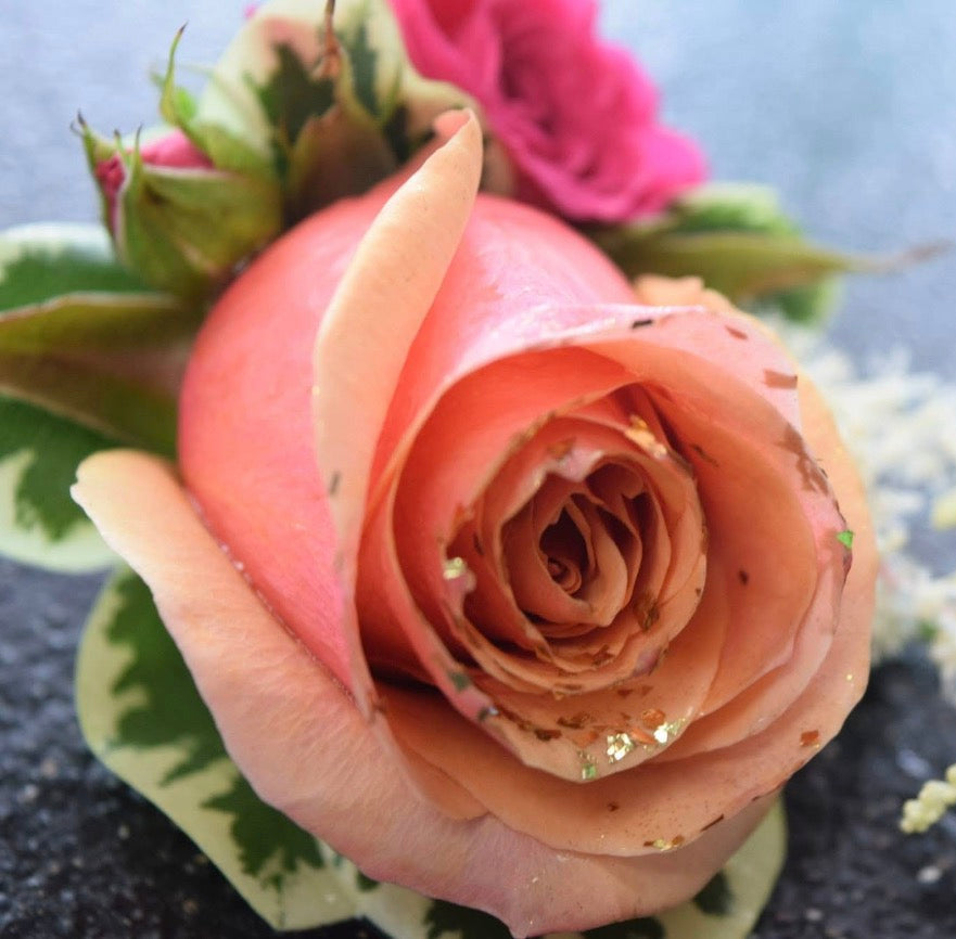 Close-up of a peach-colored rose with green leaves on a dark background