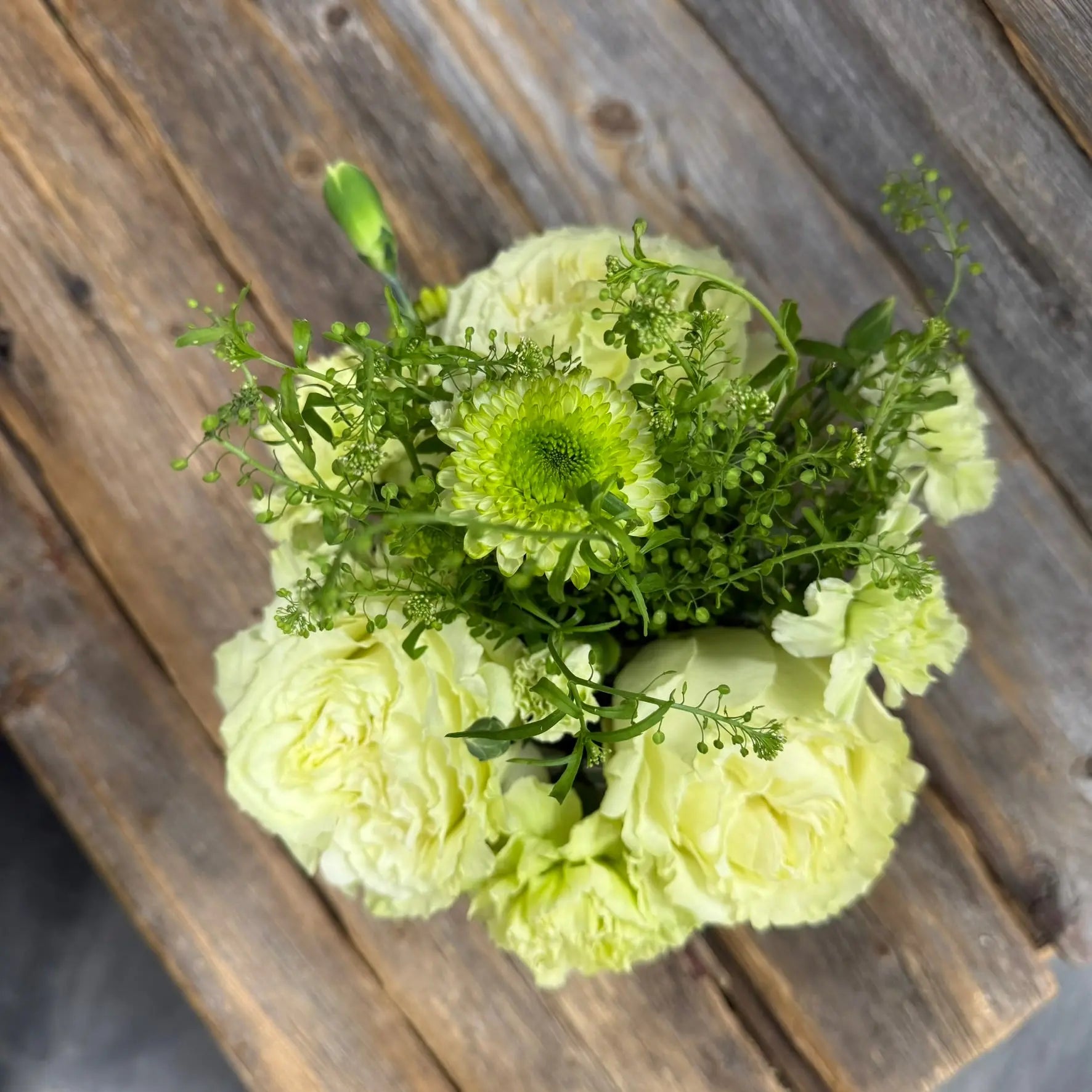 Easy Being Green The BloomBox
