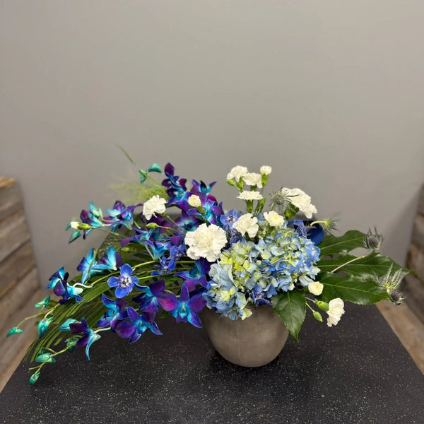 Blue Jay The BloomBox