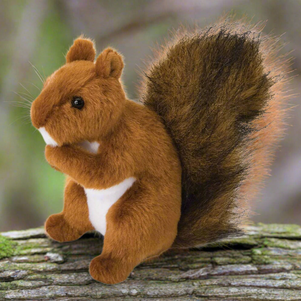 Plush toy squirrel on a white background