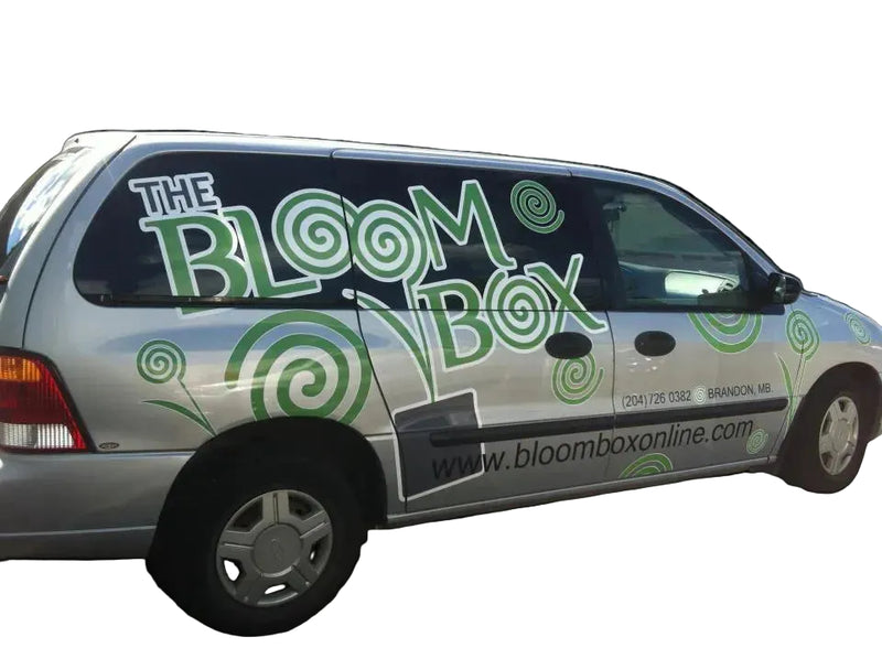 A silver minivan parked outdoors with a custom green and white wrap reading 'THE BLOOM BOX' and 'www.bloomboxonline.