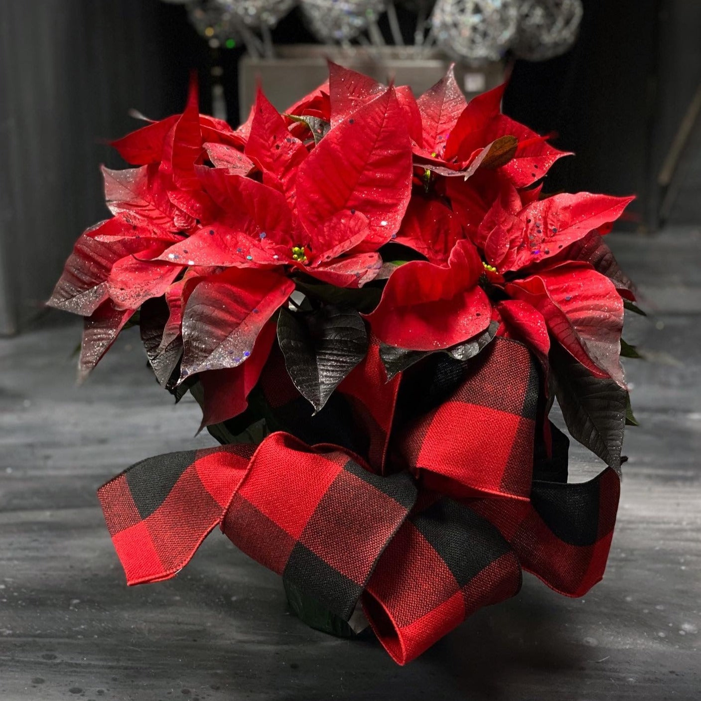 Poinsettias